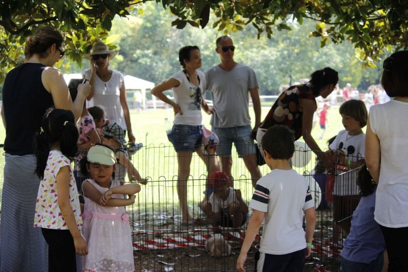 Bimbi al Parco 2017