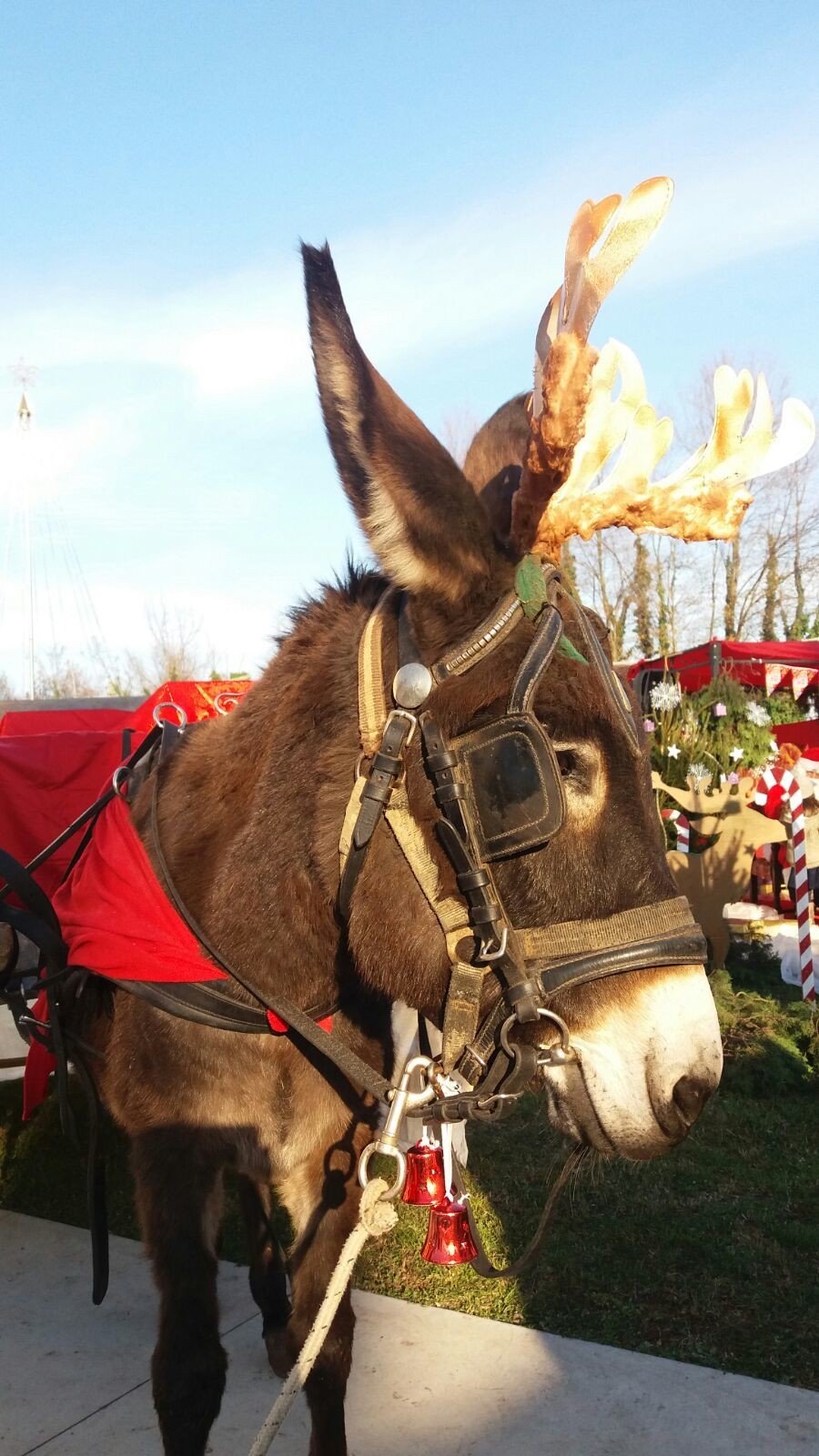 Mercatini di Natale 2016