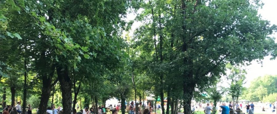 Bimbi al Parco 2018