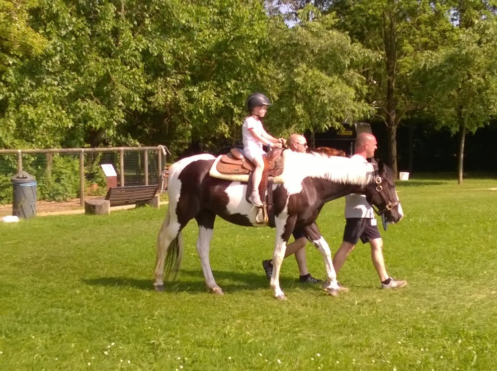 Bimbi al Parco 2019