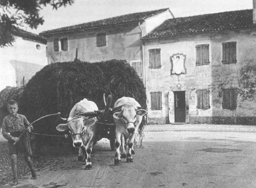 Luglio 1965: la casetta natale profanata!